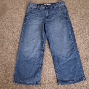Ella Moss Wide Leg Cropped Jeans Size 6 NWOT